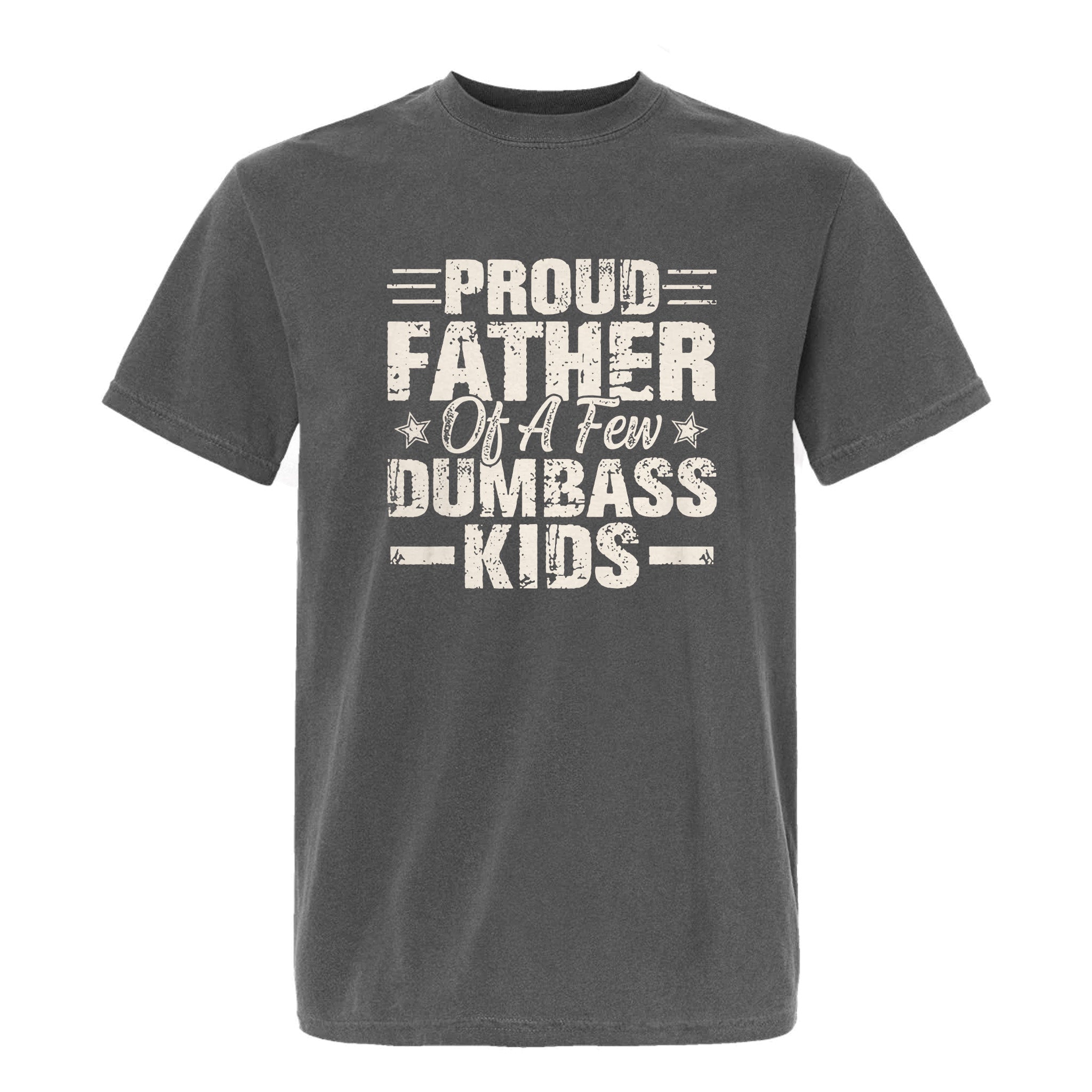 Grey funny graphic t-shirt with distressed black text: “PROUD FATHER OF A FEW DUMBASS KIDS.”
