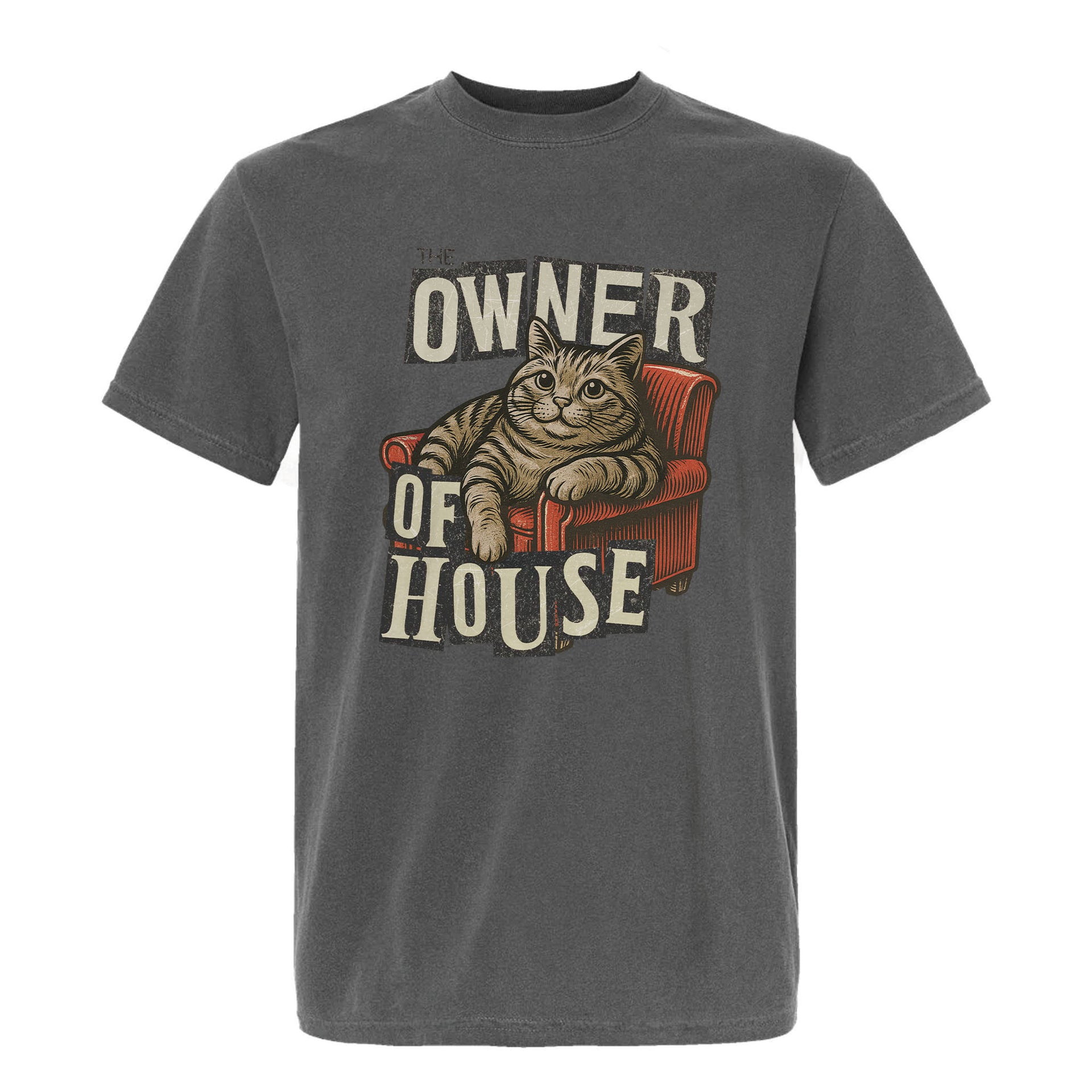 Gray funny graphic t-shirt with a cat graphic and "Owner of House" text 
